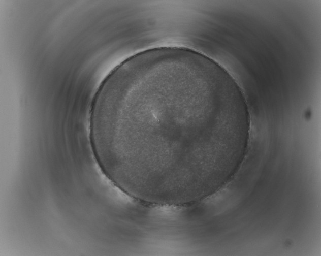 X0000111160950200907211224