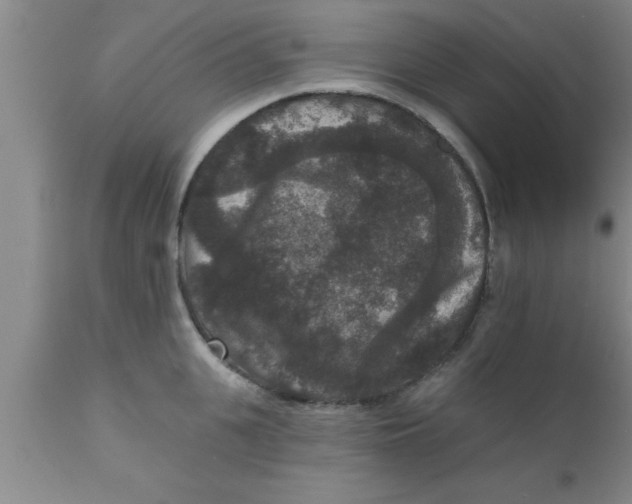 X0000111160951200907211224