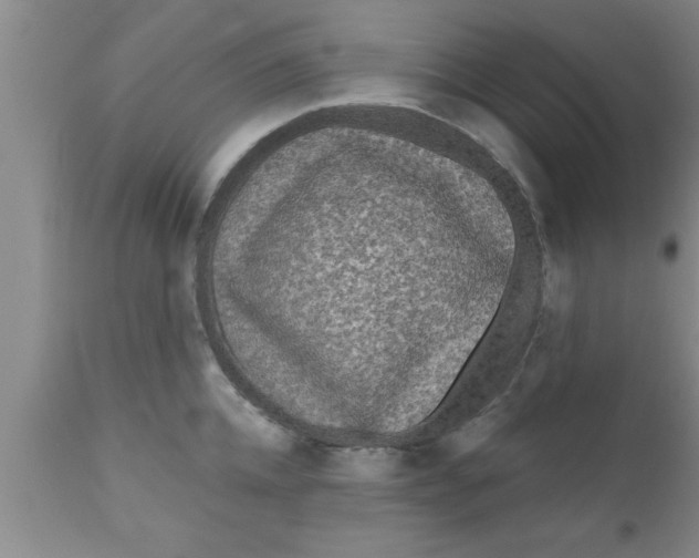 X0000111160952200907211224