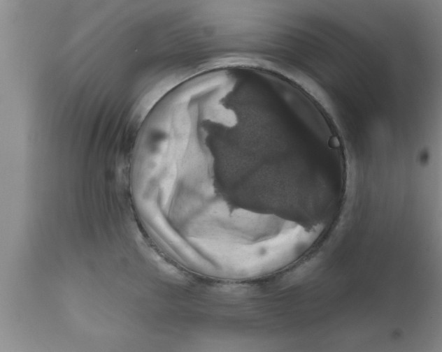 X0000111160953200907211224