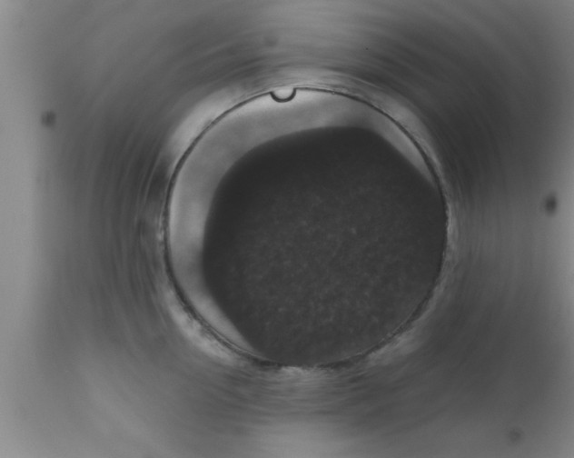 X0000111160954200907211224