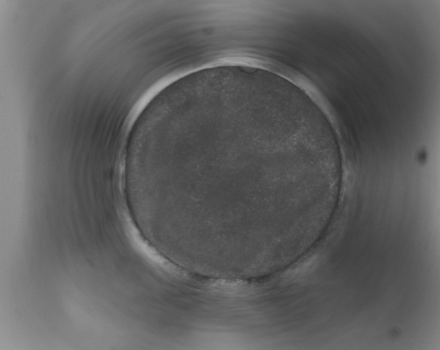 X0000111160955200907211224