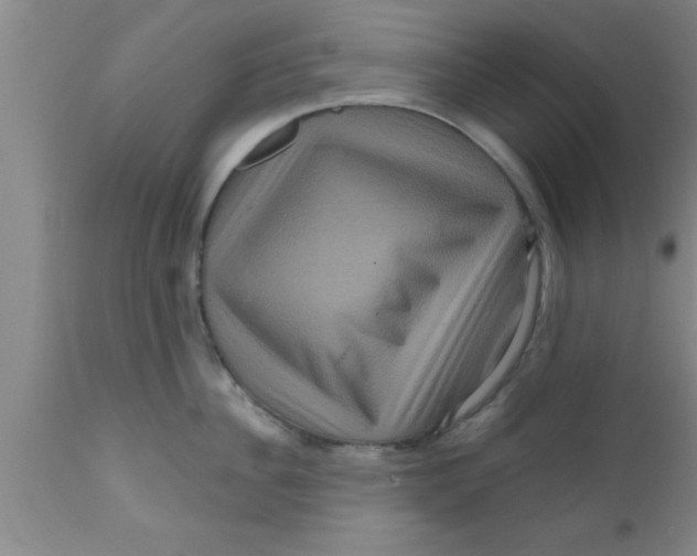 X0000111160956200907211224