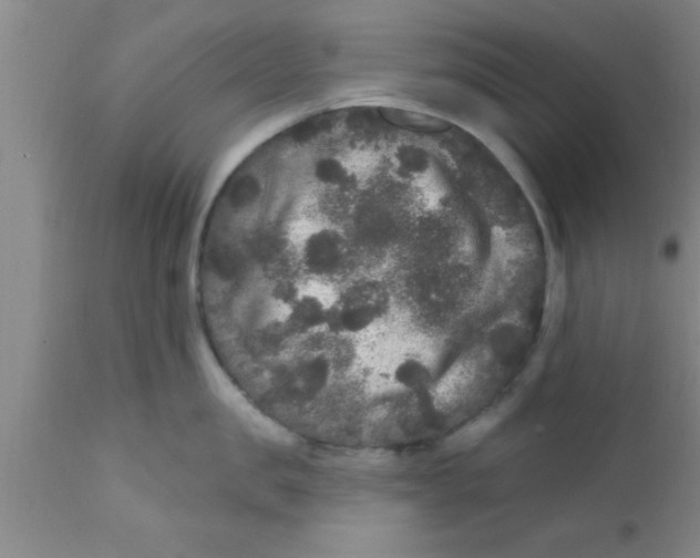 X0000111160957200907211224