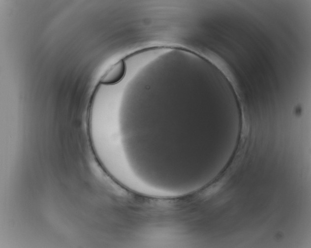 X0000111160958200907211224