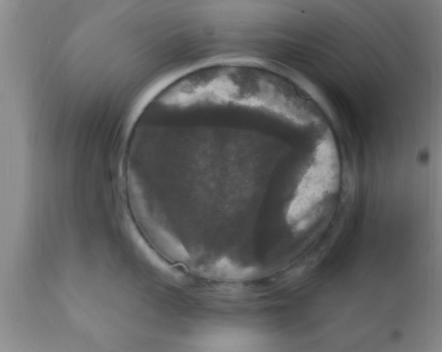 X0000111160959200907211224