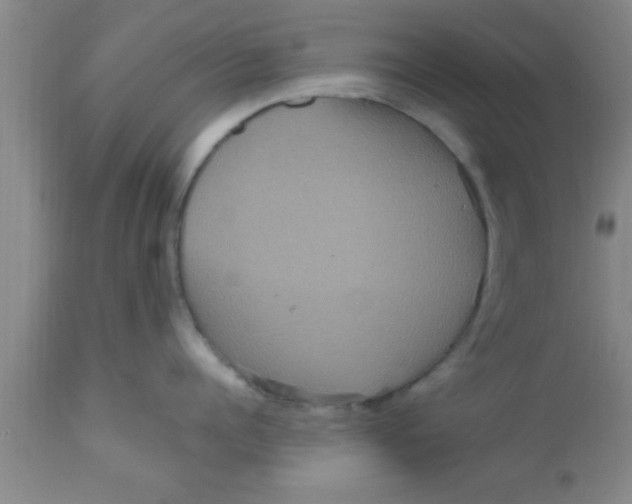 X0000111160960200907211224