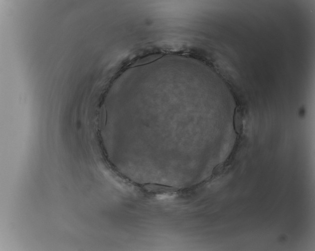 X0000111160961200907211223