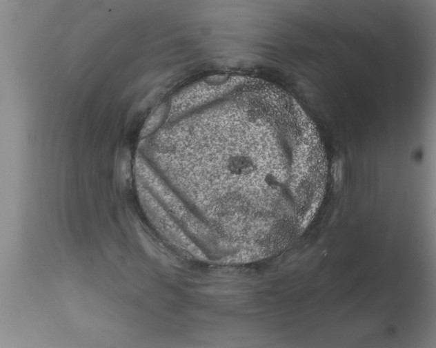 X0000111160963200907211223