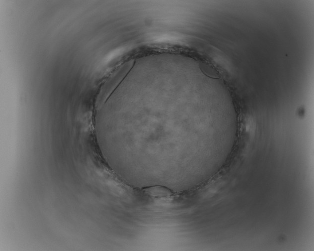 X0000111160965200907211223