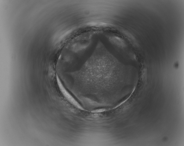 X0000111160966200907211223