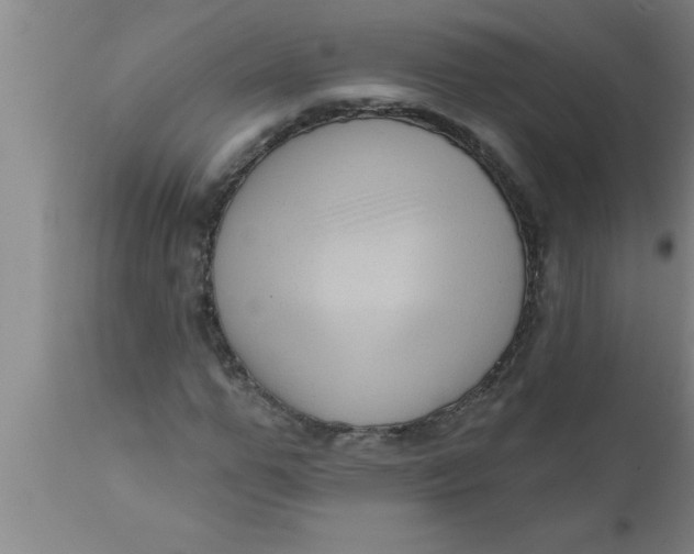 X0000111160967200907211223