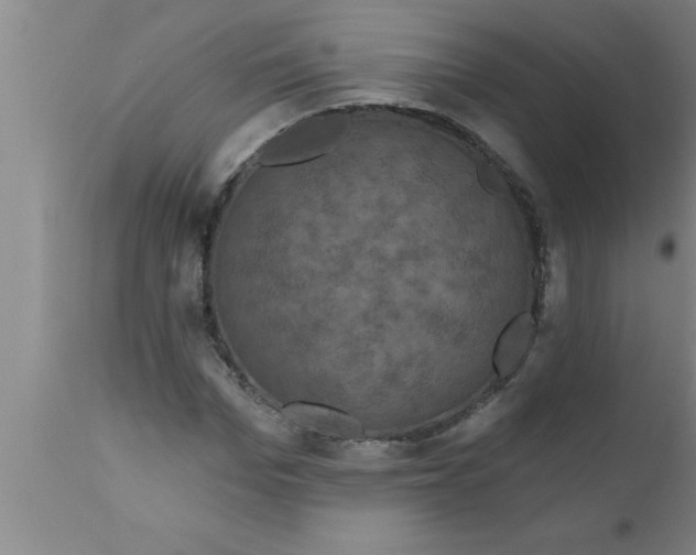 X0000111160969200907211223