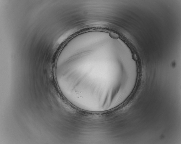 X0000111160970200907211223