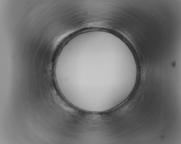 X0000111160971200907211223