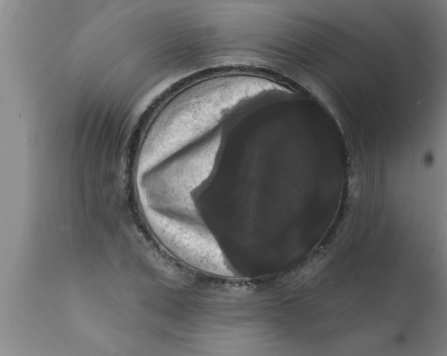 X0000111160975200907211223