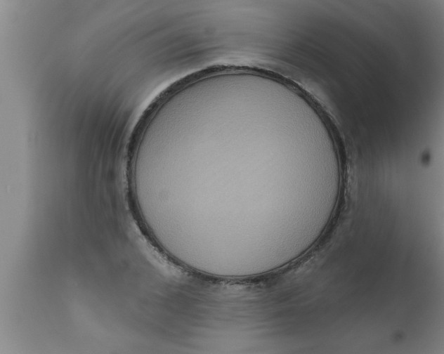 X0000111160976200907211223