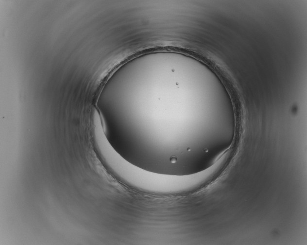 X0000111160977200907211223