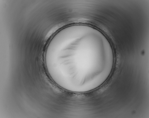 X0000111160978200907211223