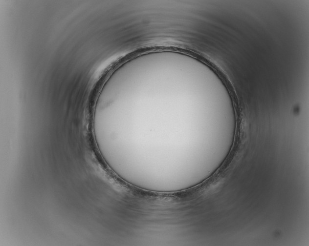 X0000111160979200907211223