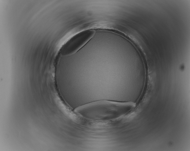 X0000111160981200907211223