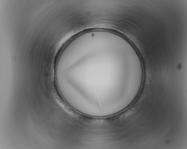 X0000111160982200907211223