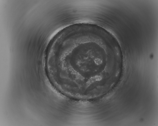 X0000111160983200907211223