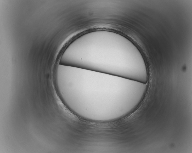 X0000111160984200907211223