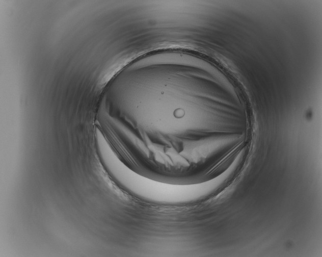 X0000111160985200907211223