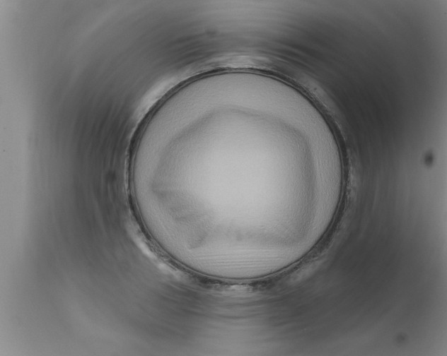 X0000111160986200907211223