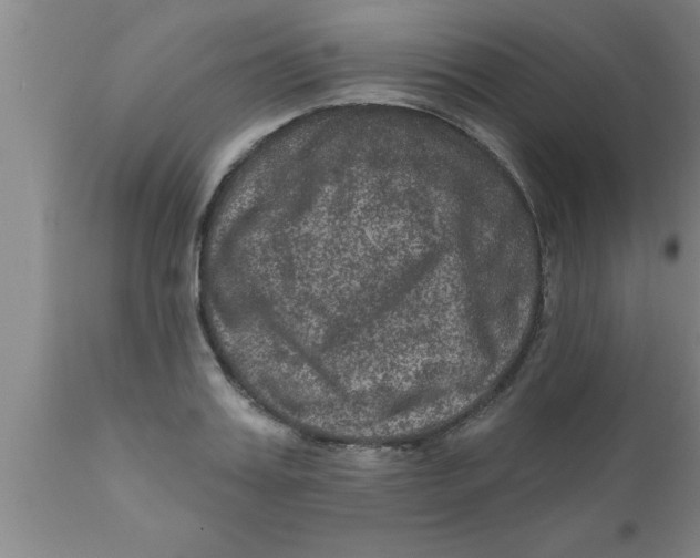 X0000111160987200907211223