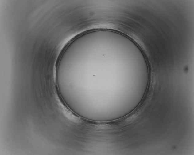 X0000111160988200907211223