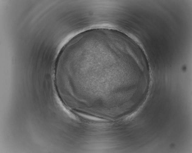 X0000111160989200907211223