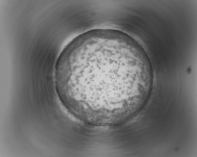 X0000111160990200907211223