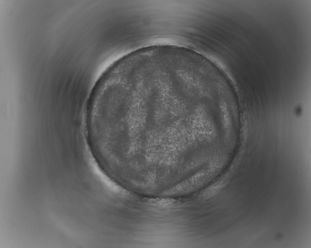 X0000111160991200907211223