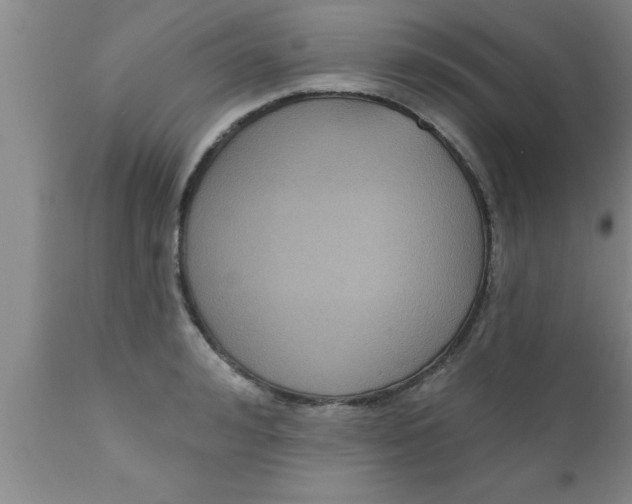 X0000111160992200907211223