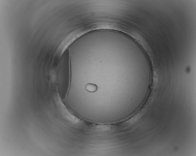 X0000111160993200907211223