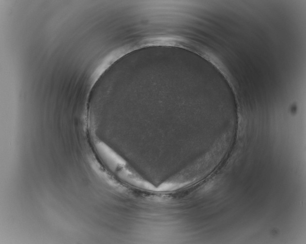 X0000111160994200907211223