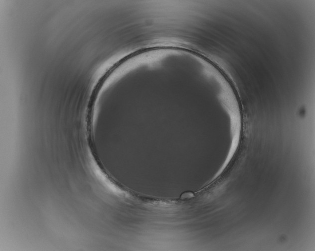 X0000111160995200907211223