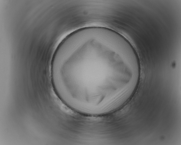 X0000111160996200907211223