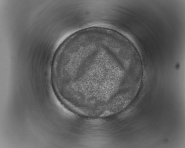 X0000111160999200907211223