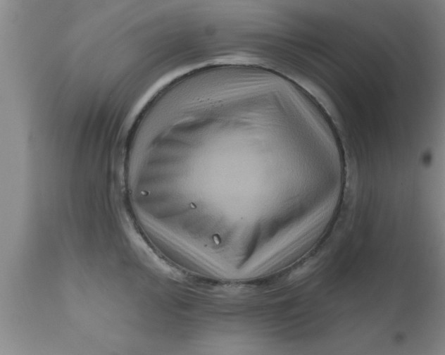 X0000111161000200907211223