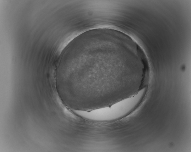 X0000111161001200907211223