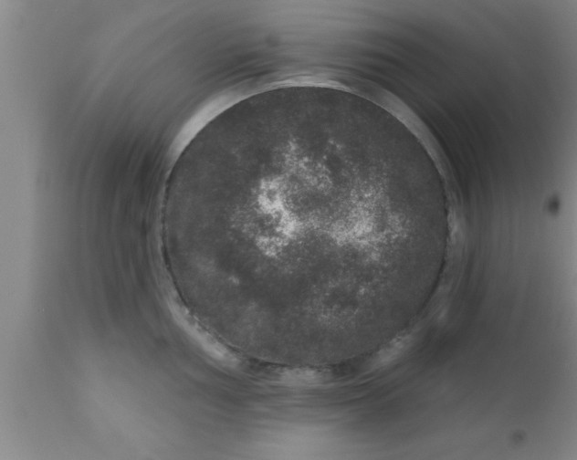 X0000111161002200907211223