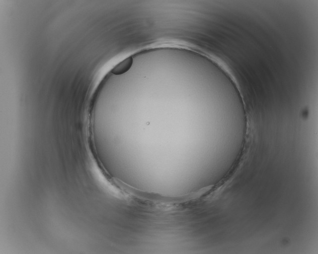 X0000111161003200907211222