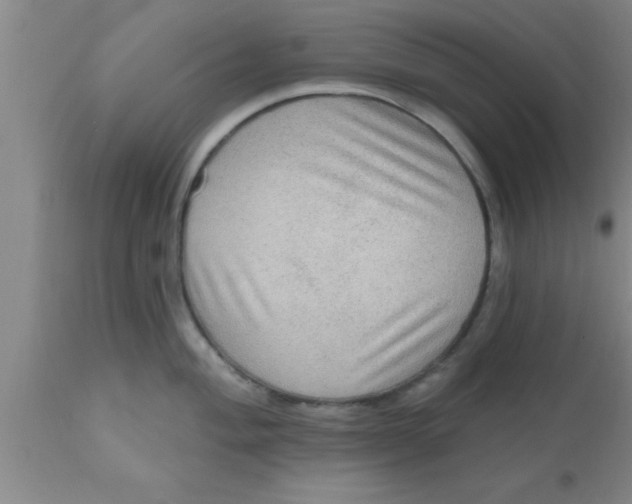 X0000111161004200907211222