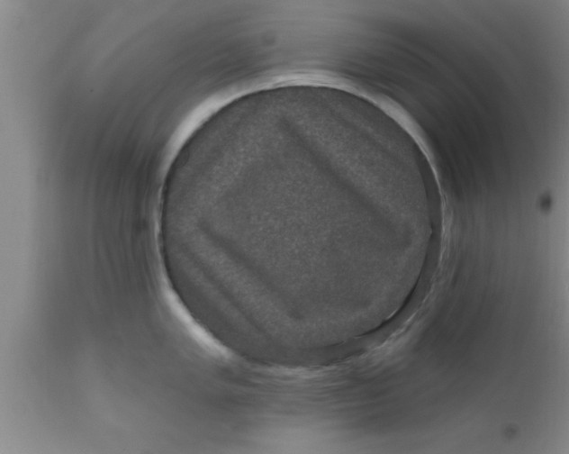 X0000111161005200907211222