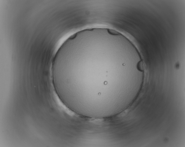 X0000111161006200907211222