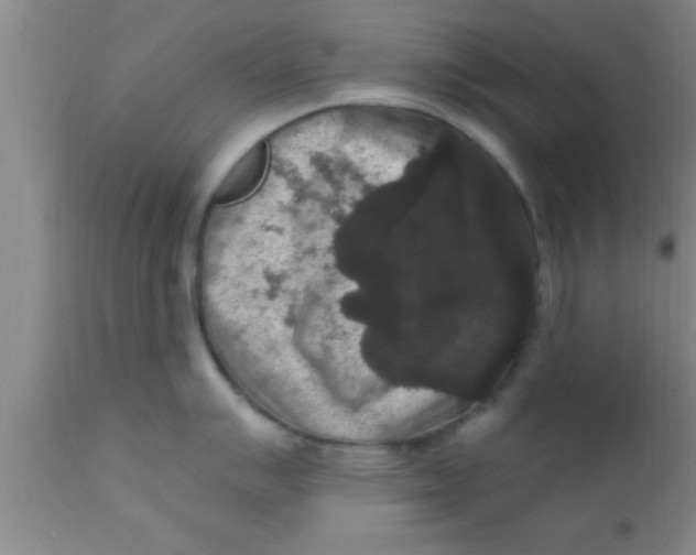 X0000111161007200907211222