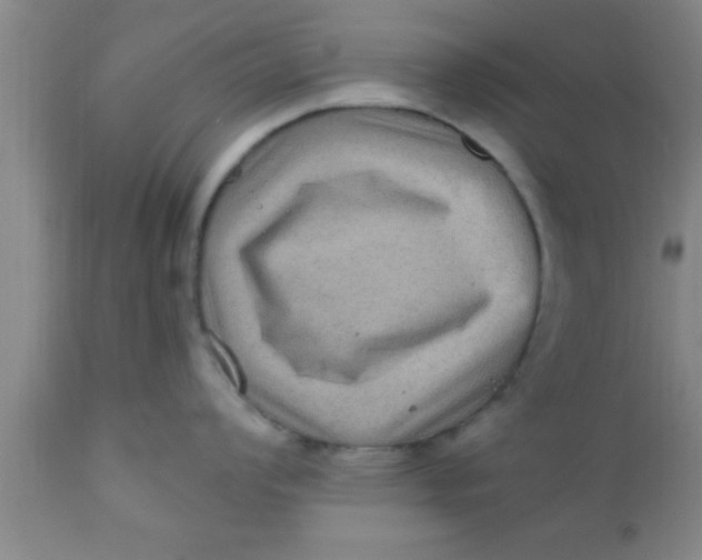 X0000111161008200907211222